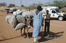 donkey load
